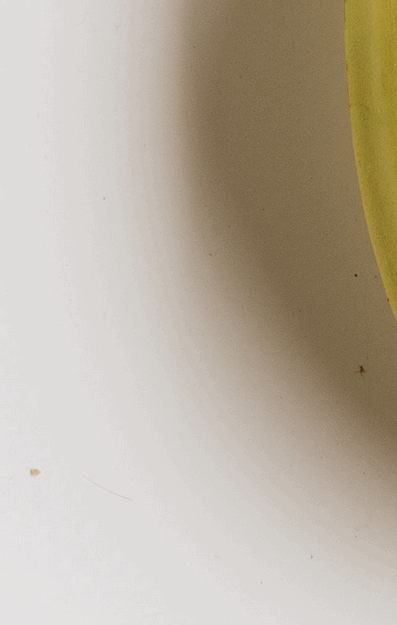 Foto: Pexels